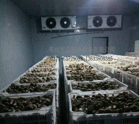 淇县天健农民种植专业合作社香菇冷库