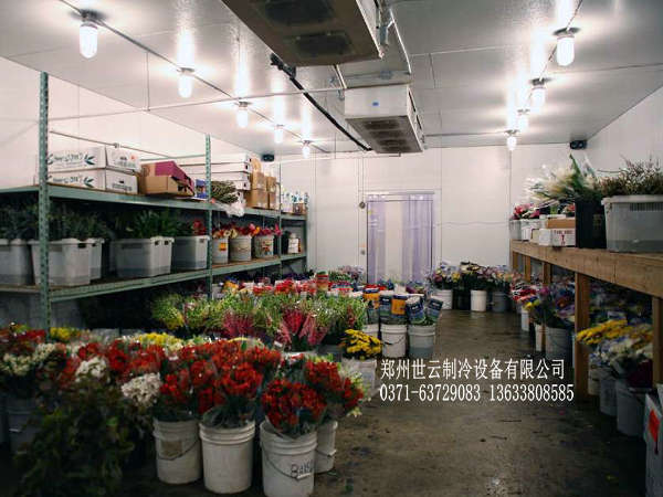 郑州好运花卉市场鲜花万博网页版网址